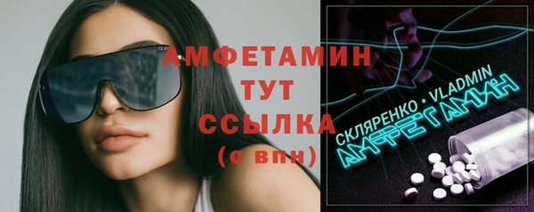 стаф Алзамай