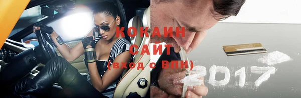 стаф Алзамай
