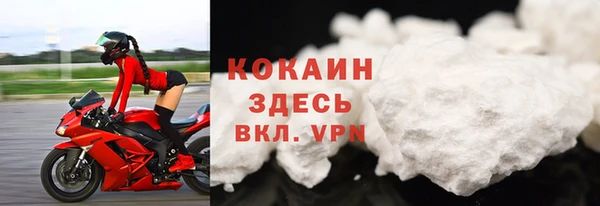 гидра Покачи