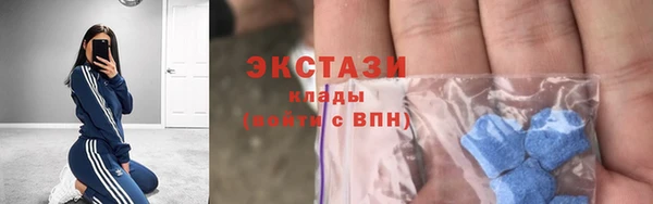 стаф Алзамай