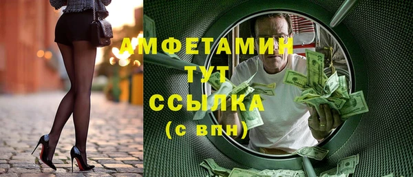 стаф Алзамай