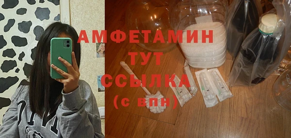 стаф Алзамай