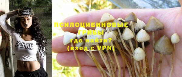 ГАЛЛЮЦИНОГЕННЫЕ ГРИБЫ Алексеевка