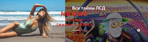стаф Алзамай